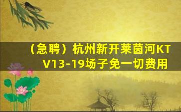 新疆酒吧招聘